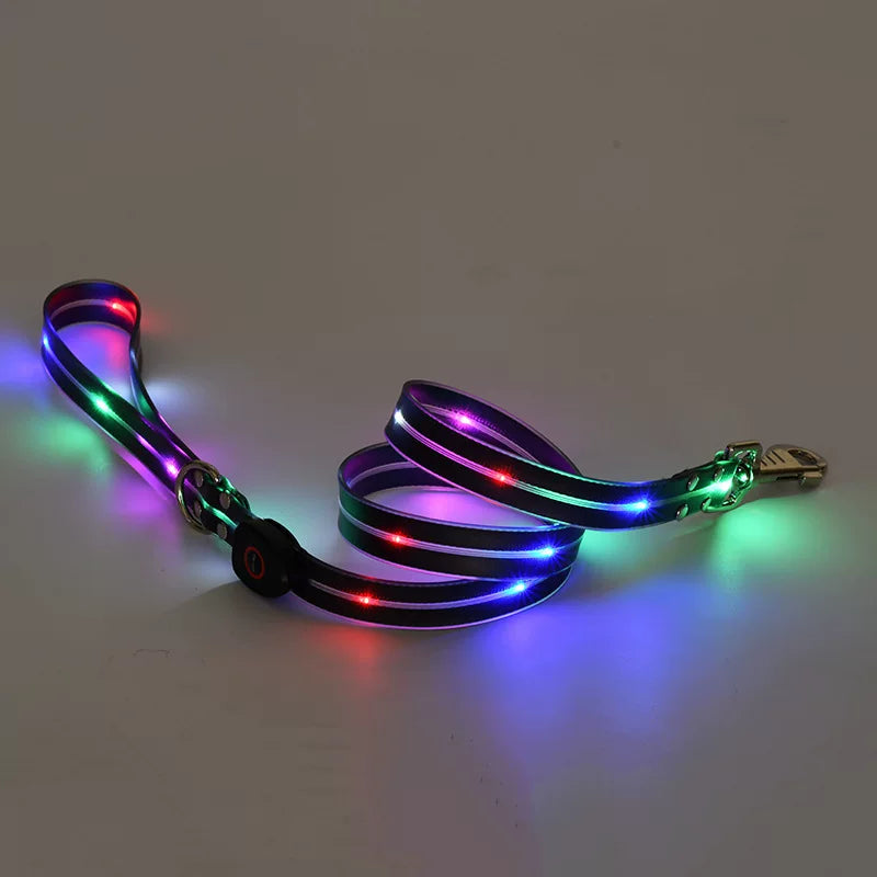 Fandszms | LED Glowing Dog Collar for Night Walking and Outdoor Visibility