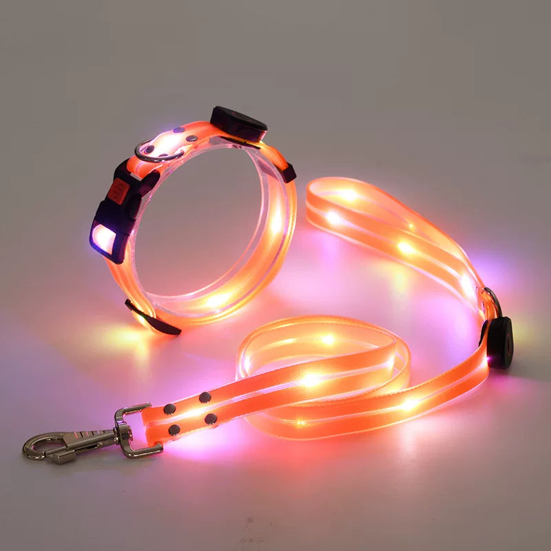 Fandszms | LED Glowing Dog Collar for Night Walking and Outdoor Visibility