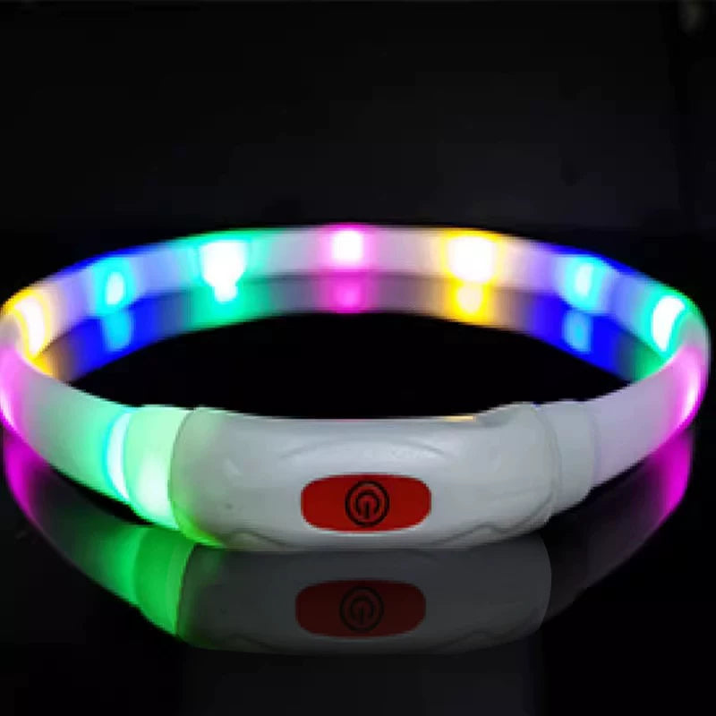 Fandszms | Luminous Night Collar for Small Dogs and Puppies Outdoor Use