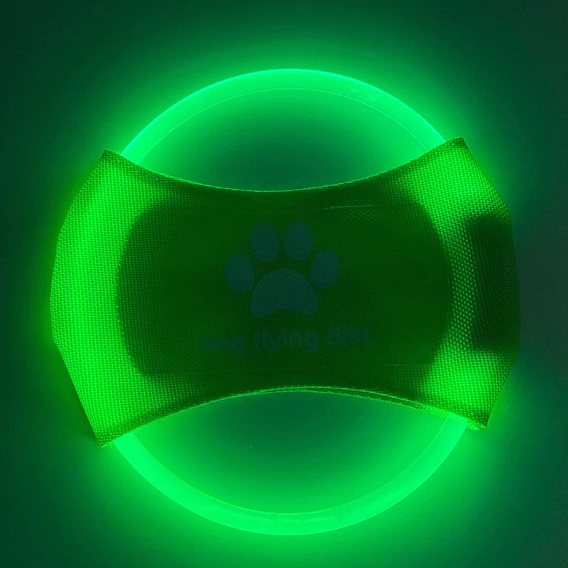 Fandszms | LED Light-Up Dog Frisbee for Night Play and Outdoor Training