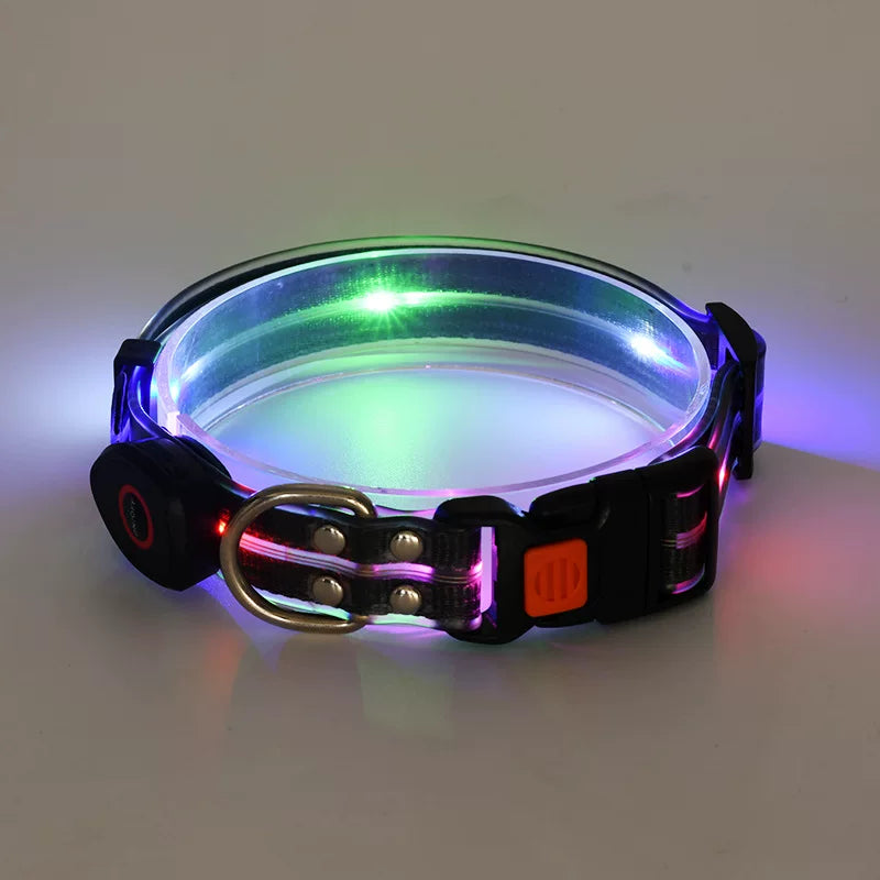 Fandszms | LED Glowing Dog Collar for Night Walking and Outdoor Visibility