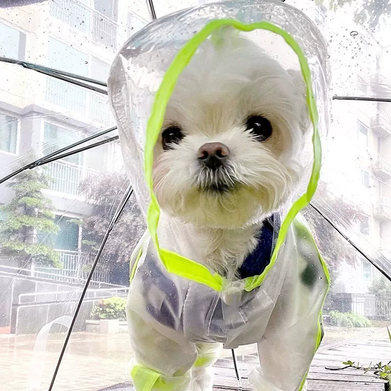 Fandszms | All-Inclusive Dog Rain Suit for Small Dogs Outdoor Walking