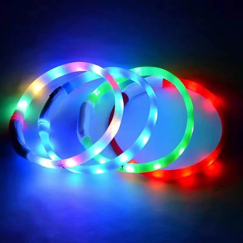 Fandszms | Luminous Night Collar for Small Dogs and Puppies Outdoor Use