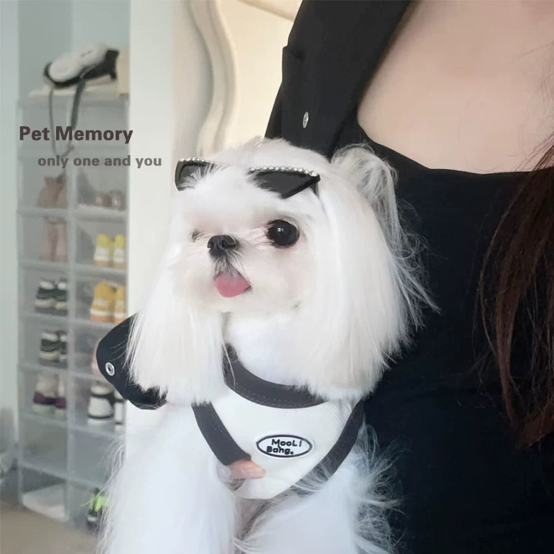 Fandszms | Windproof Pet Sunglasses Goggles for Small Dogs Outdoor Use