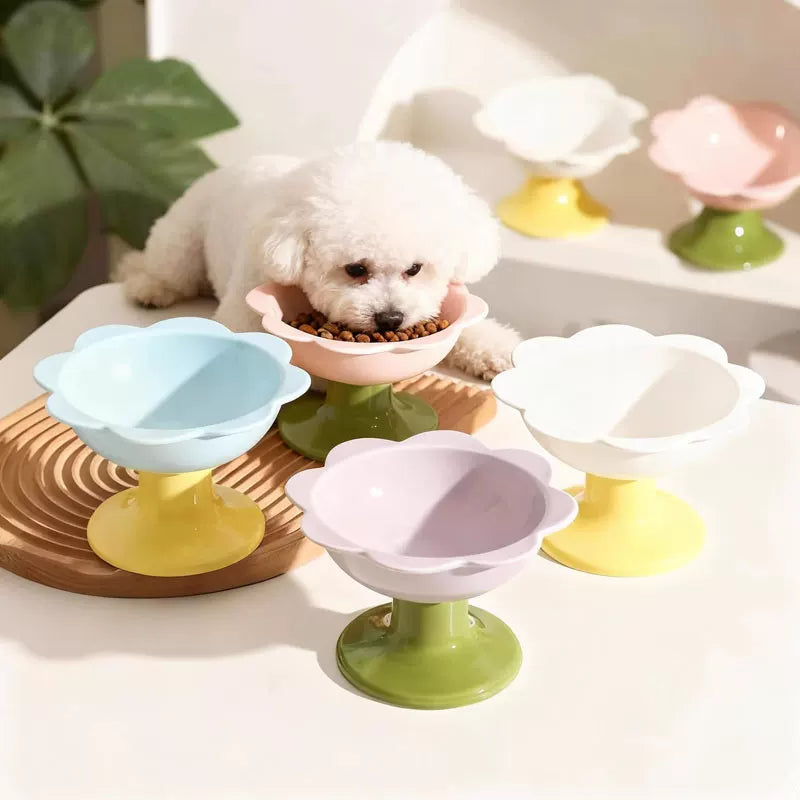 Fandszms | Small Dog Ceramic Feeding Dish for Food and Water