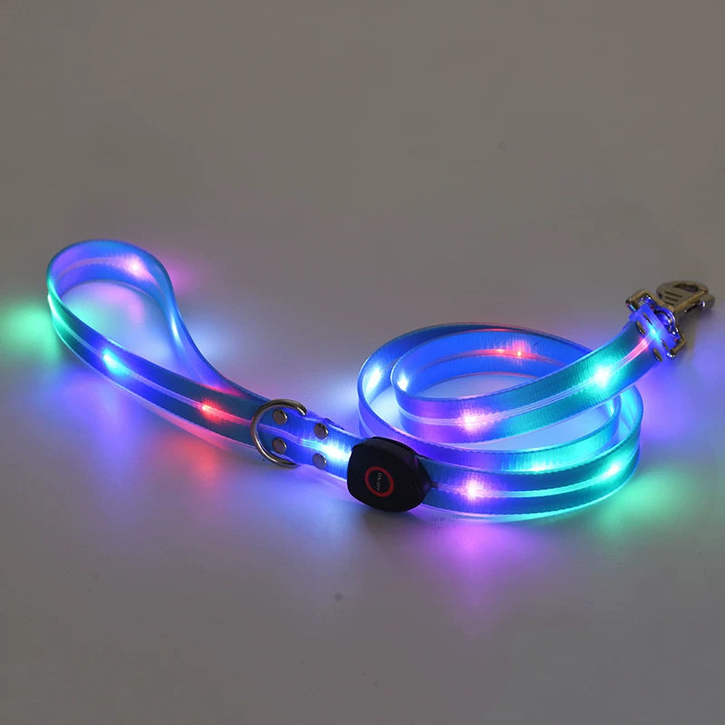 Fandszms | Glowing Pet Collar with LED Night Light for Dogs