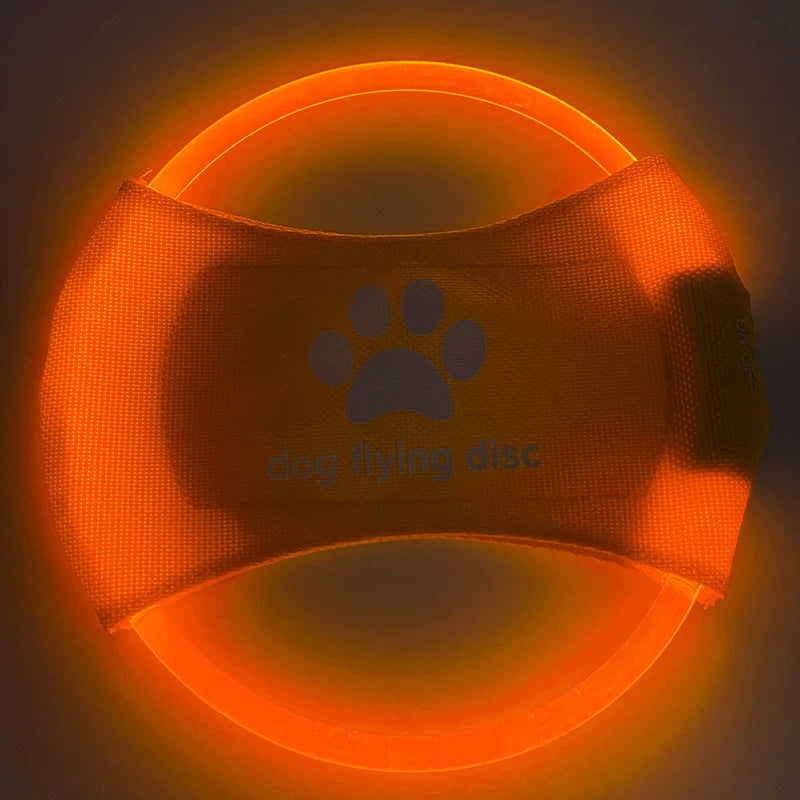 Fandszms | LED Light-Up Dog Frisbee for Night Play and Outdoor Training