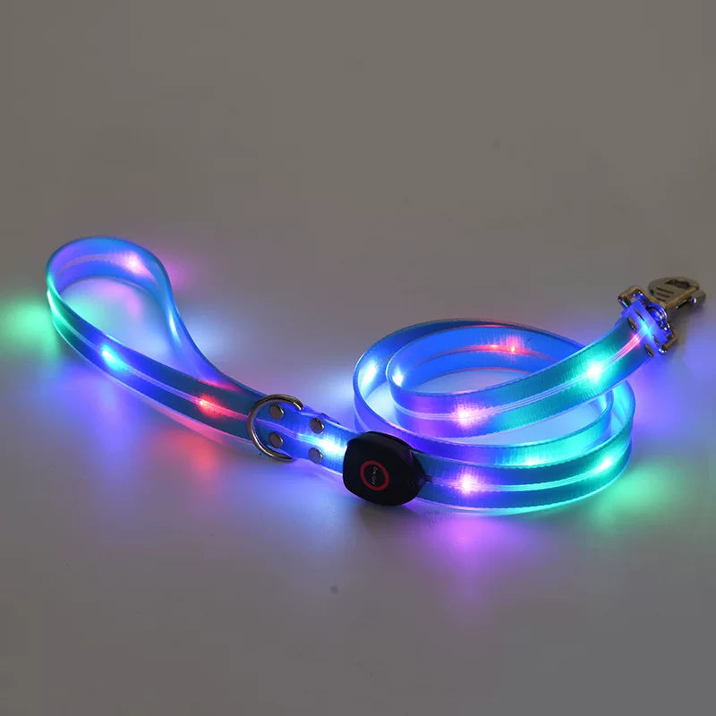 Fandszms | LED Glowing Dog Collar for Night Walking and Outdoor Visibility