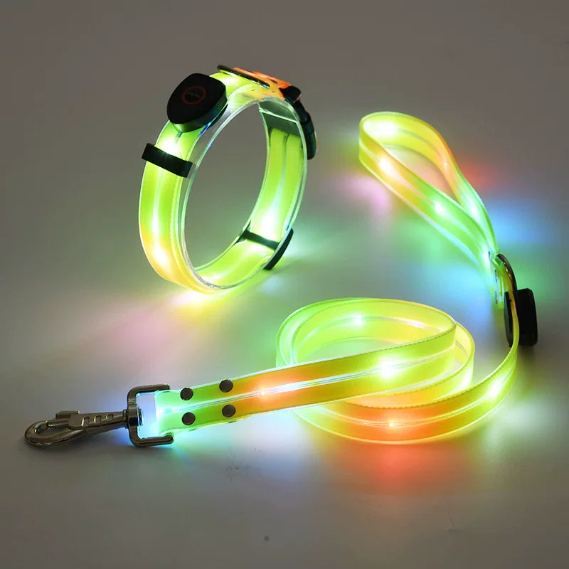 Fandszms | Glowing Pet Collar with LED Night Light for Dogs