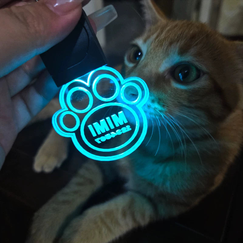 Fandszms | Customized LED Pet ID Tag with Luminous Light for Night Visibility