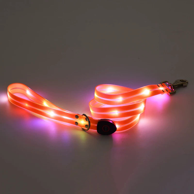 Fandszms | Glowing Pet Collar with LED Night Light for Dogs