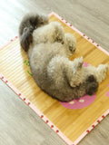 Fandszms | Bamboo Charcoal Cooling Pet Mat for Dogs and Cats Summer Sleeping Pad