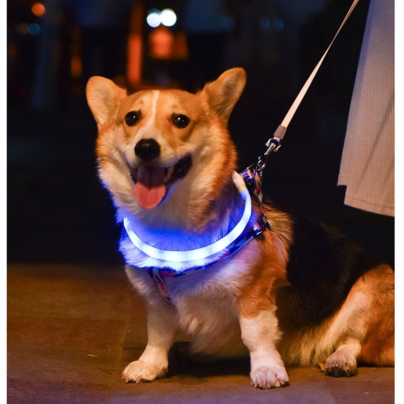 Fandszms | LED Luminous Dog Collar for Night Walking and Outdoor Visibility