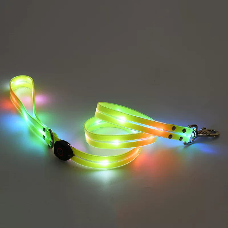 Fandszms | LED Glowing Dog Collar for Night Walking and Outdoor Visibility