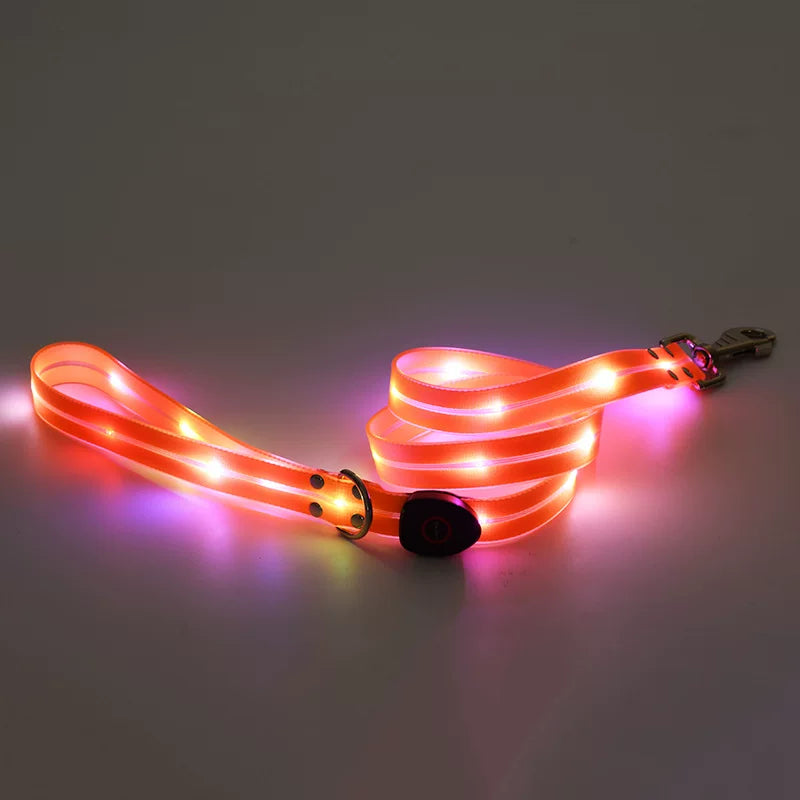 Fandszms | LED Glowing Dog Collar for Night Walking and Outdoor Visibility