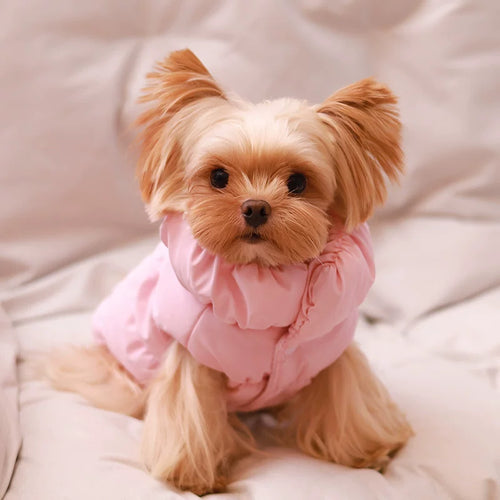 Fandszms | Warm Cotton Puppy Jacket for Small Dogs Winter Season