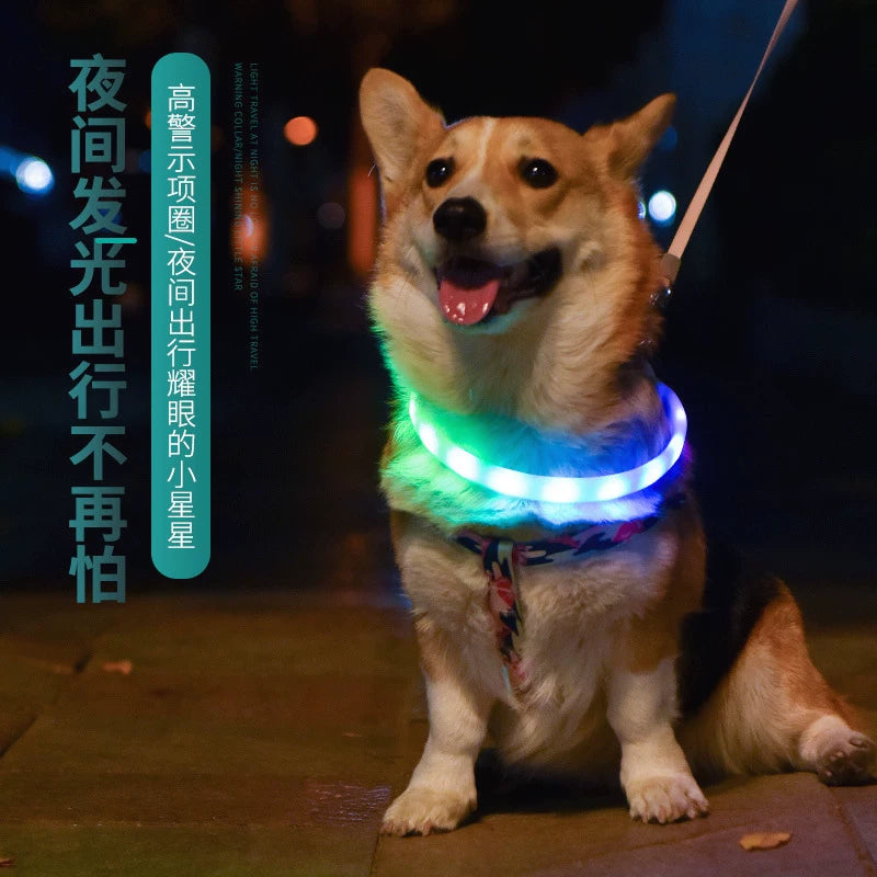 Fandszms | LED Luminous Dog Collar for Night Walking and Outdoor Visibility