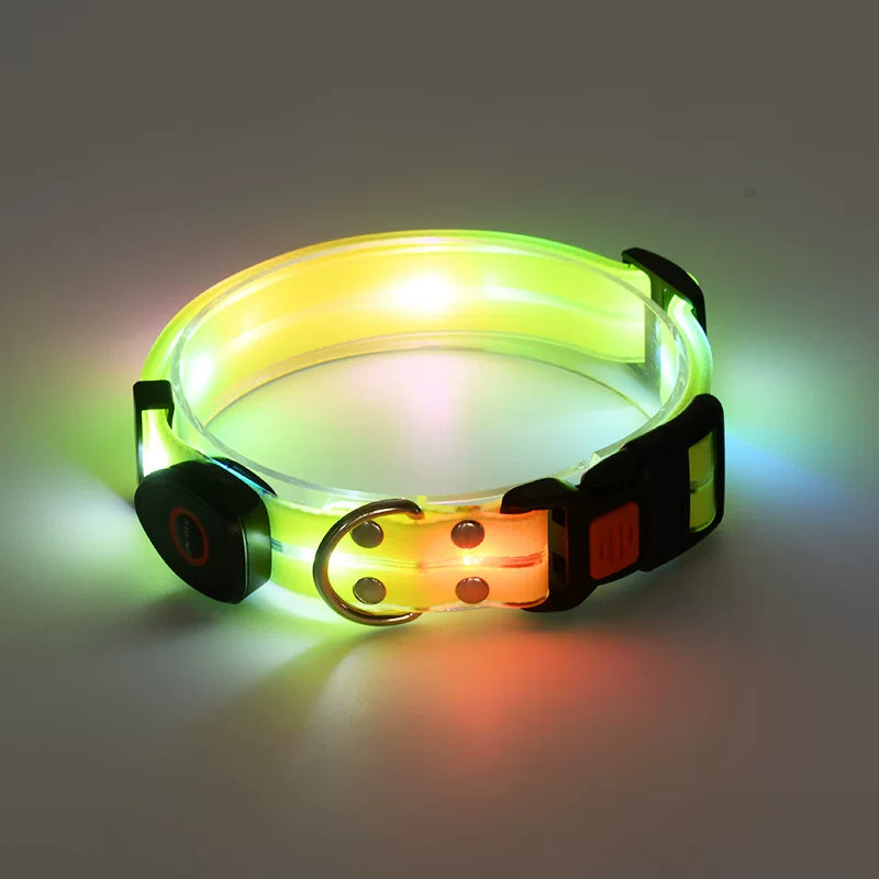 Fandszms | LED Glowing Dog Collar for Night Walking and Outdoor Visibility
