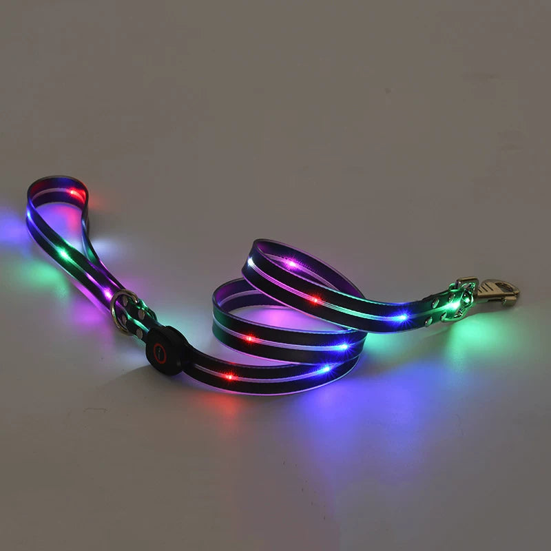 Fandszms | Glowing Pet Collar with LED Night Light for Dogs