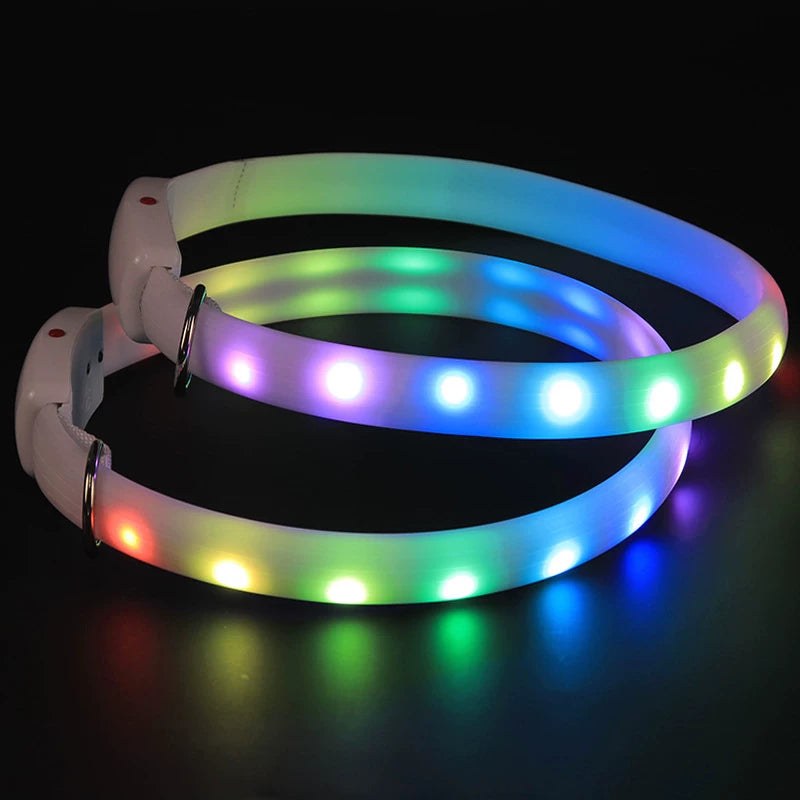 Fandszms | Glowing Pet Collar with LED Night Light for Dogs