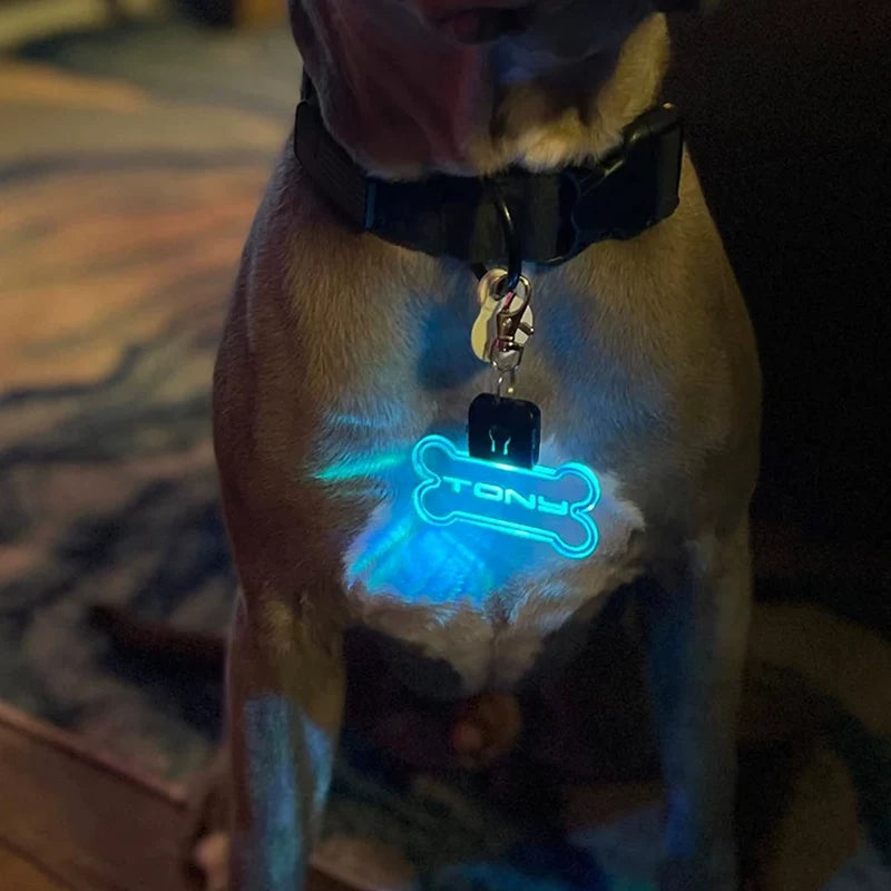 Fandszms | Customized LED Pet ID Tag with Luminous Light for Night Visibility