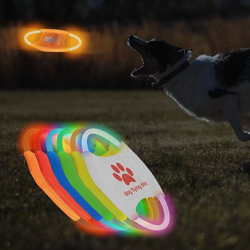 Fandszms | LED Light-Up Dog Frisbee for Night Play and Outdoor Training