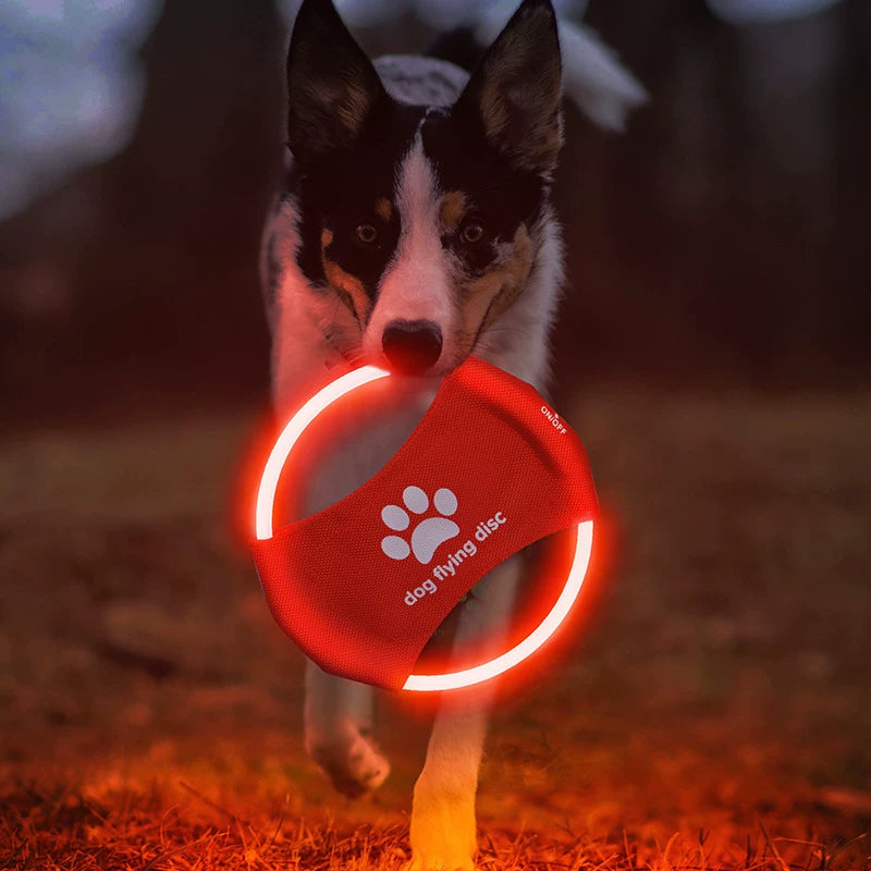 Fandszms | LED Light-Up Dog Frisbee for Night Play and Outdoor Training