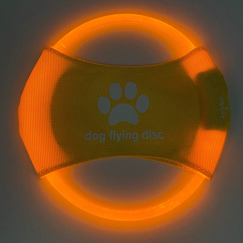 Fandszms | LED Light-Up Dog Frisbee for Night Play and Outdoor Training