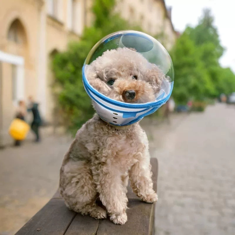 Fandszms | Protective Dog Hood Cone Collar for Anti-Licking and Anti-Biting