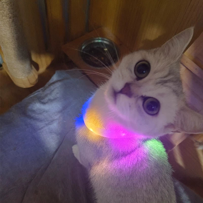 Fandszms | Luminous Night Collar for Small Dogs and Puppies Outdoor Use