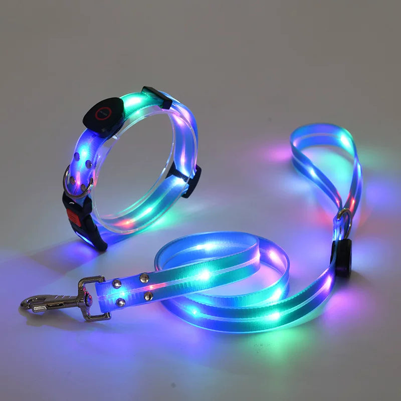 Fandszms | LED Glowing Dog Collar for Night Walking and Outdoor Visibility
