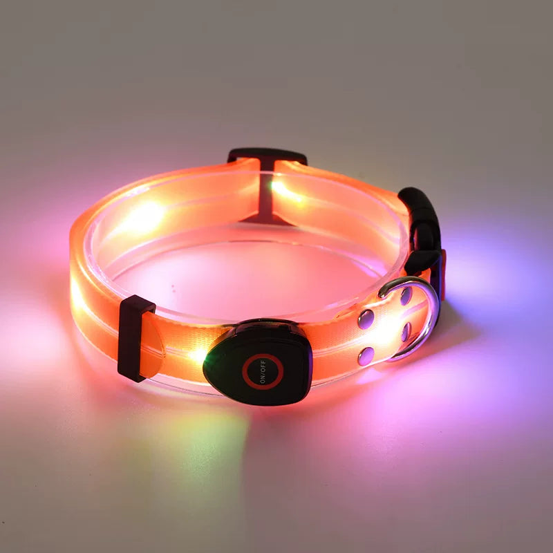 Fandszms | LED Glowing Dog Collar for Night Walking and Outdoor Visibility