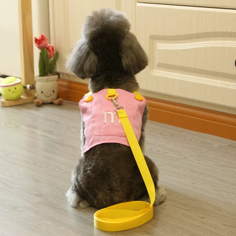 Fandszms | Pet Harness Leash Set for Small Dogs and Cats Daily Walks