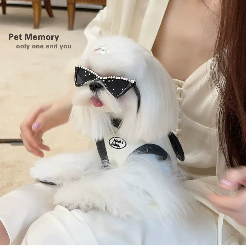 Fandszms | Windproof Pet Sunglasses Goggles for Small Dogs Outdoor Use