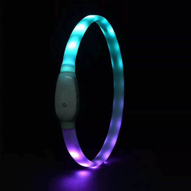 Fandszms | LED Luminous Dog Collar for Night Walking and Outdoor Visibility